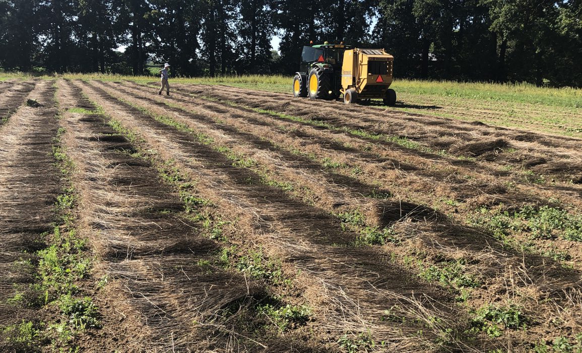 Baling the flax