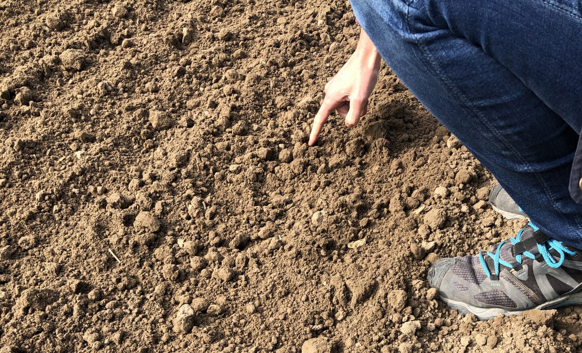 Biodynamic preparation