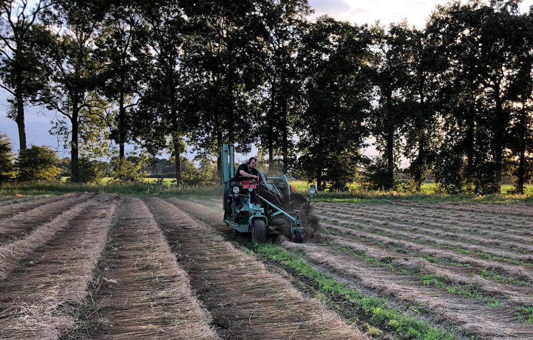 Turning the flax