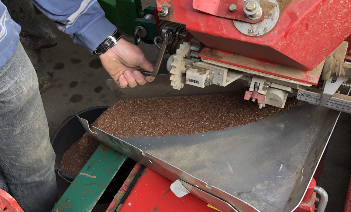 Weighing and preparing the flax seeds