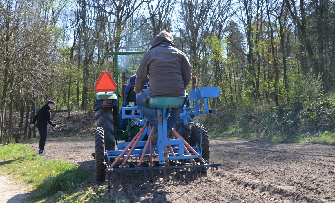 sowing the field 