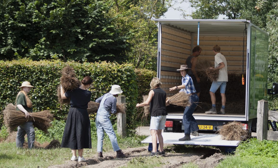 destination flax shed