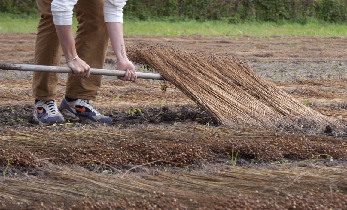 turning the flax – day 107