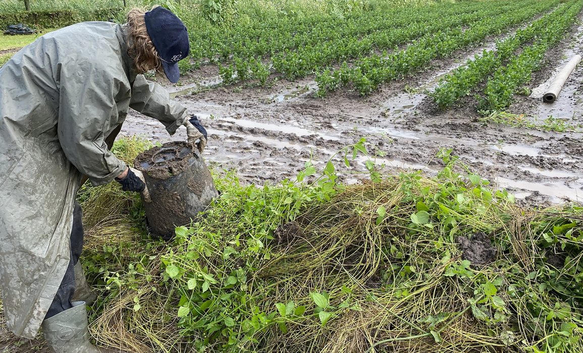 returning plant matter to soil 