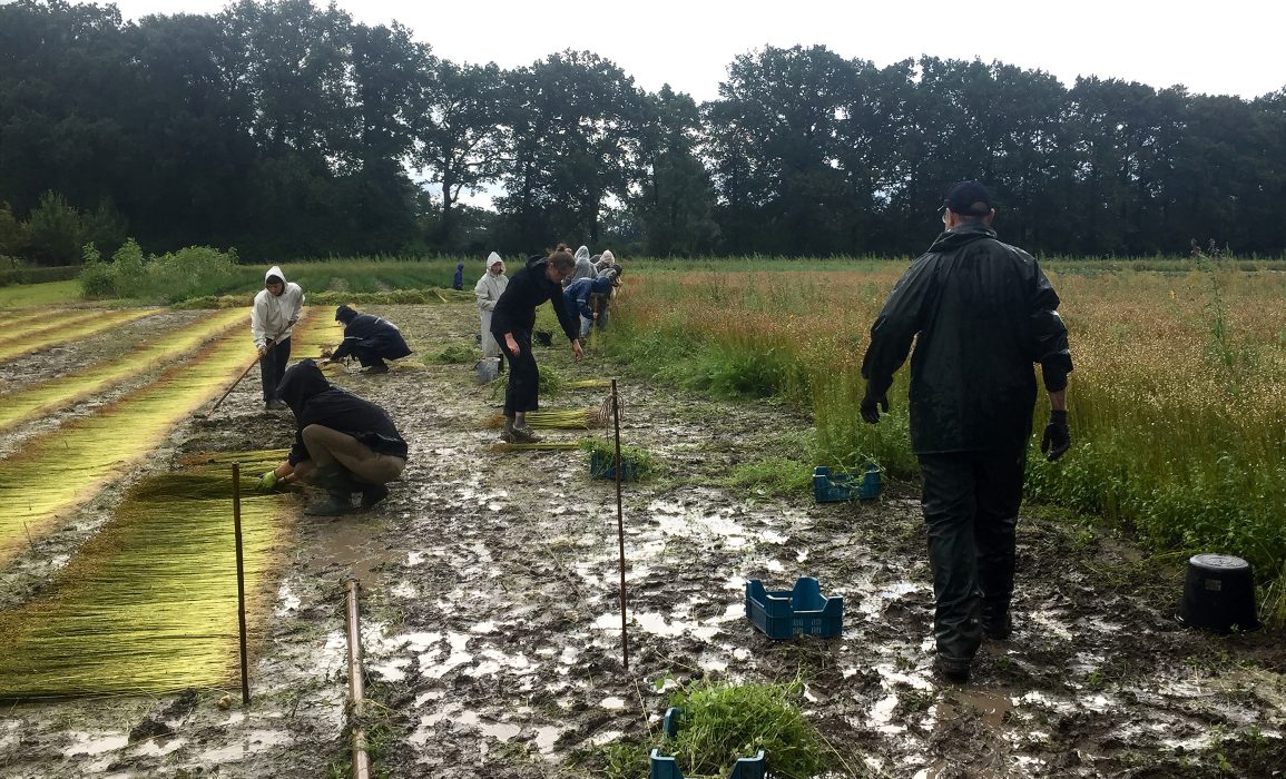rained out – day 101