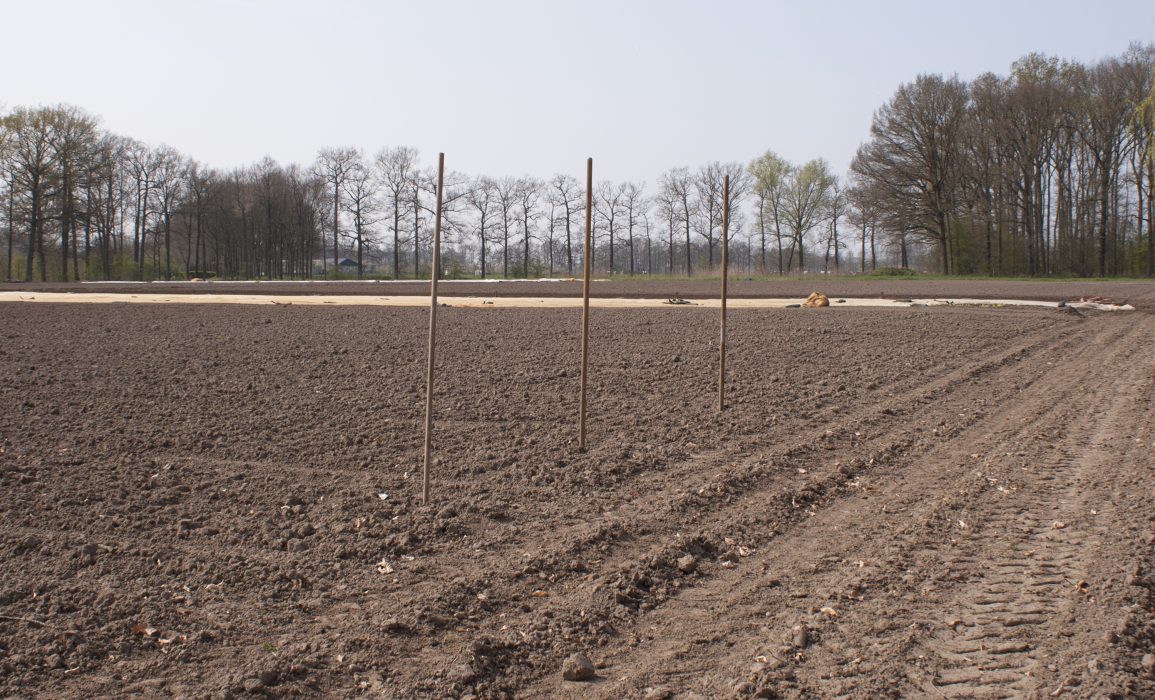 staking out the seed beds – day 1