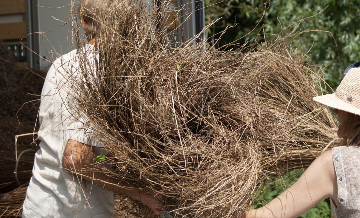 salvaged bent flax