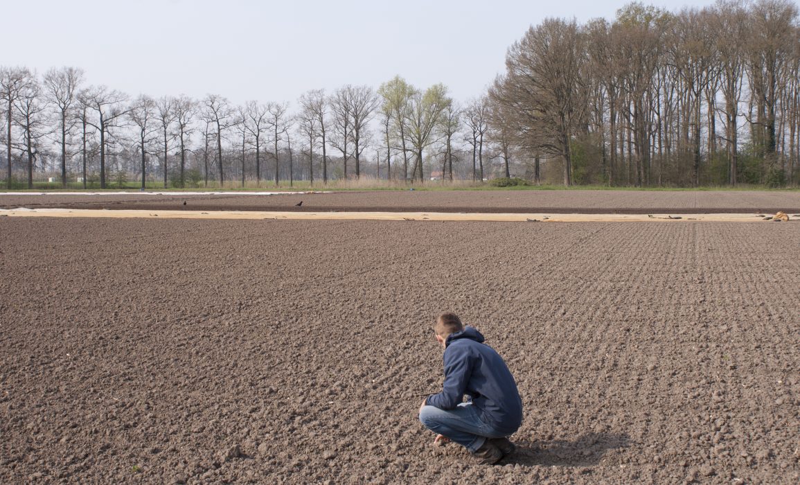 readying the soil for sowing – day 1