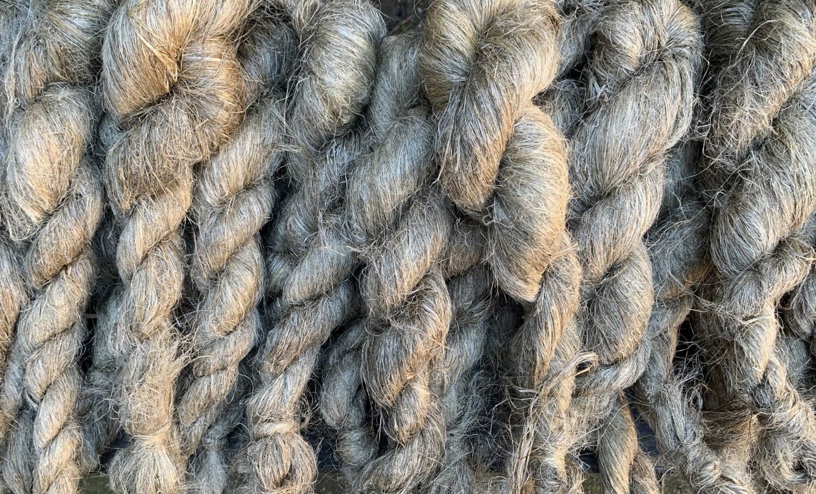 hand-twisted stricks of scutched flax ready to be shared amongst the linen stewards