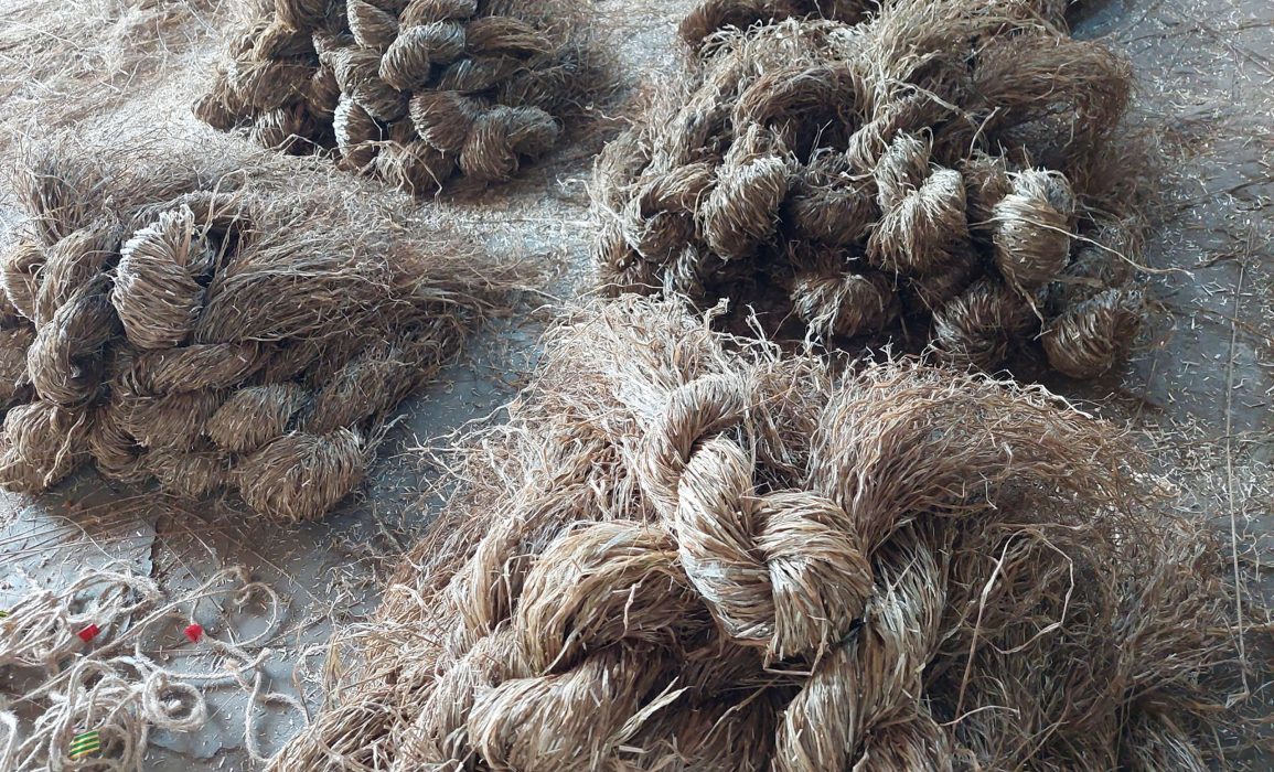 improvised stricks of scutched flax await hackling