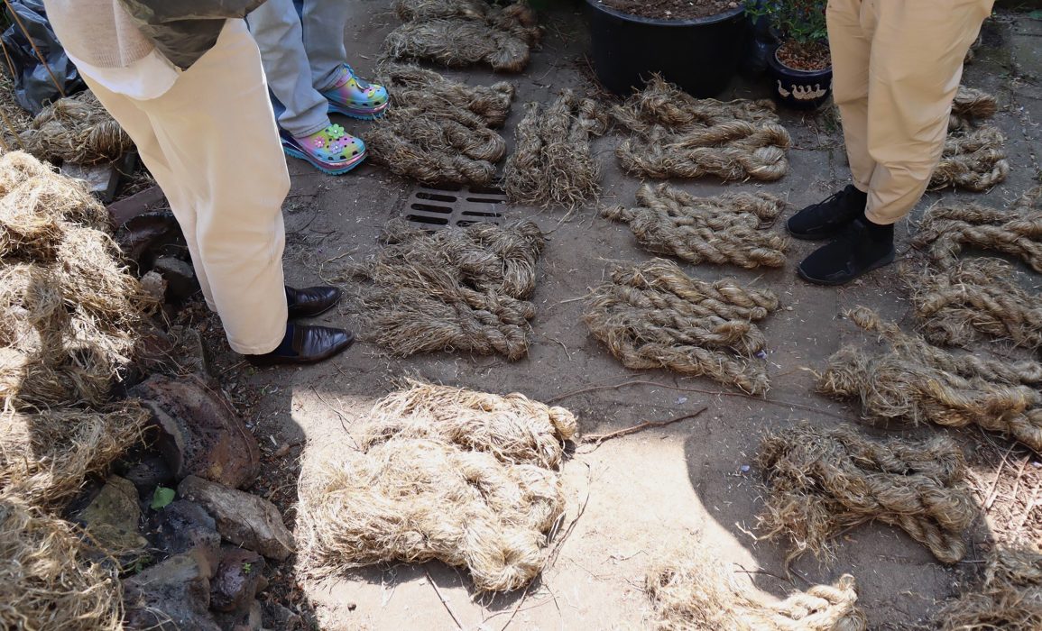 the yield of the 2022 flax harvest was shared equitably amongst the stewards