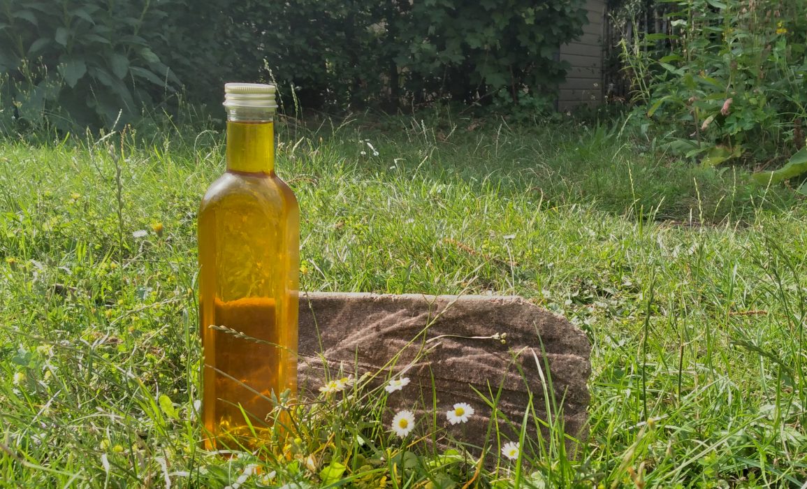 linseed oil and press cake – photo by thijs belgers