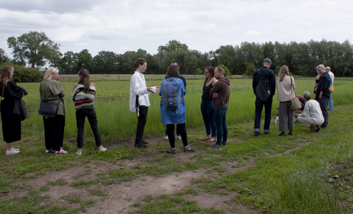visiting the linen stewards’ current flax field, neighbouring where the flax grew in 2019