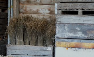 sheaves stored dry and ready for the winter at De Horsterhof