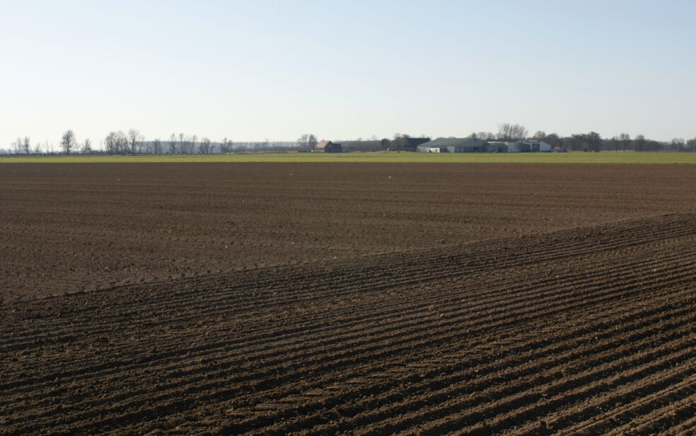 3 hectare vlas
