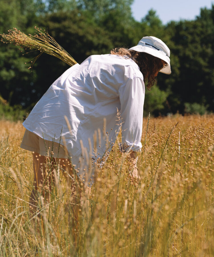 open call: shared stewardship