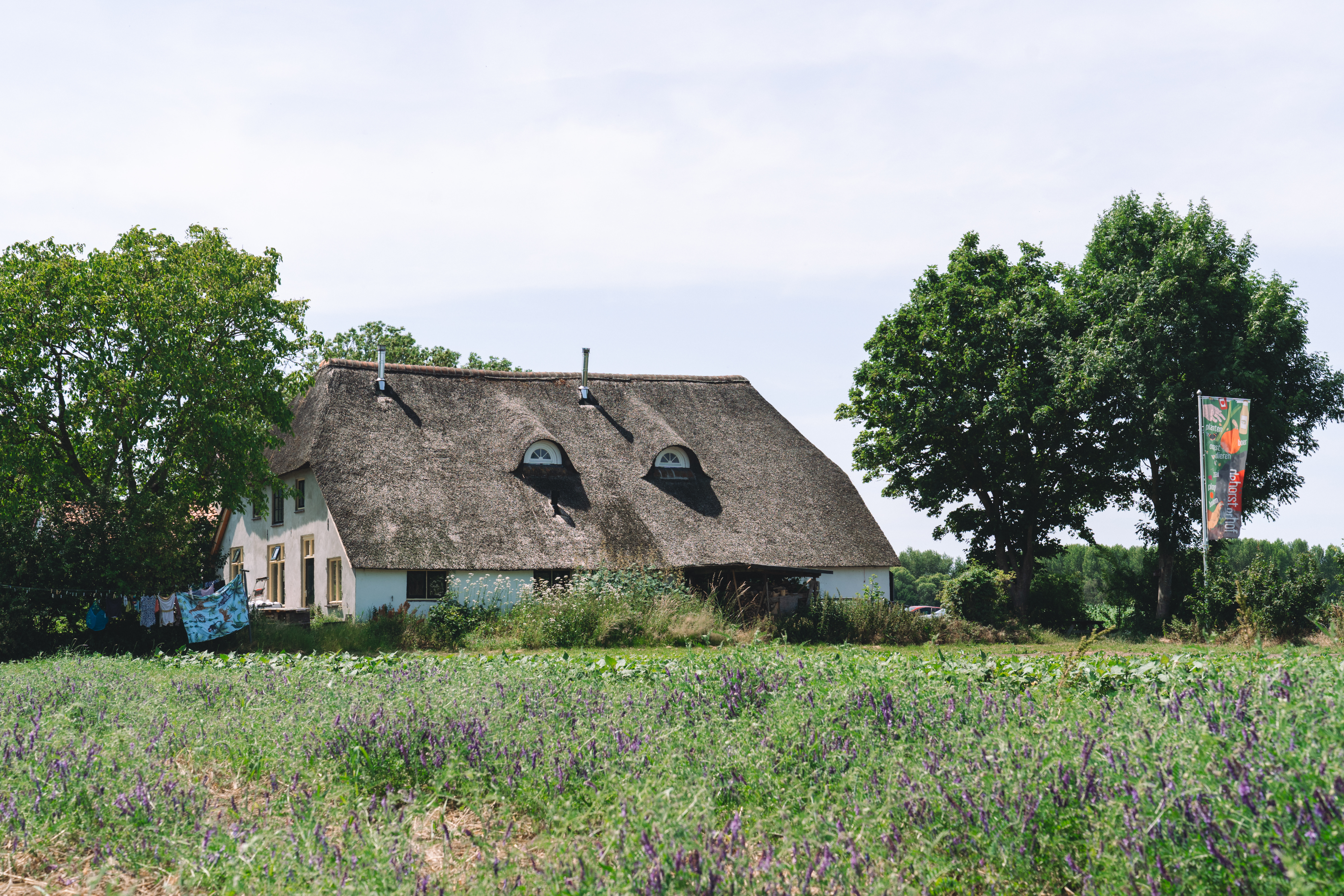 flax cultivation, shared stewardship 2025, de horsterhof, duiven